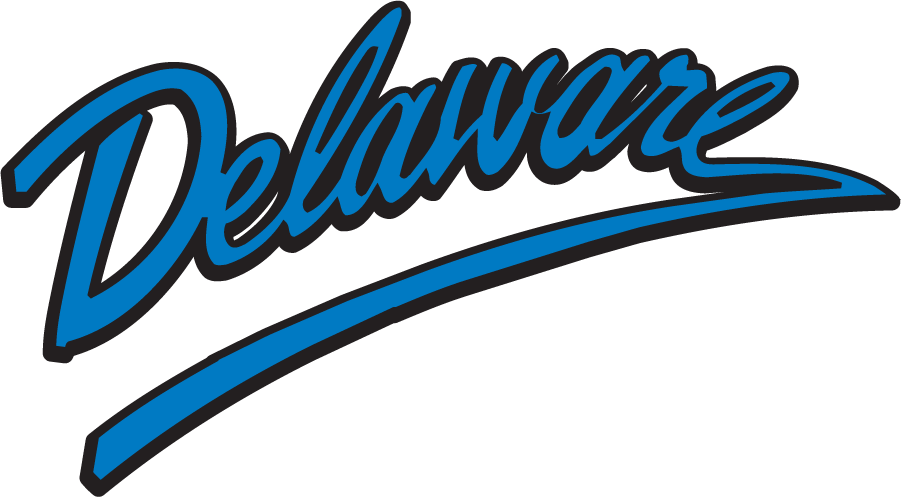 Delaware Blue Hens 1999-2009 Wordmark Logo t shirts iron on transfers